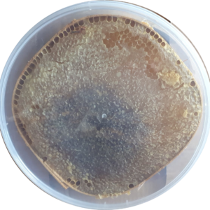 Karakovan Balı (Telefonla Sipariş)